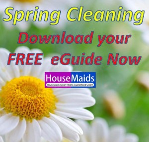 HouseMaids Spring Cleaning