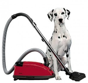 Cleaning Up After Pets | Housemaids