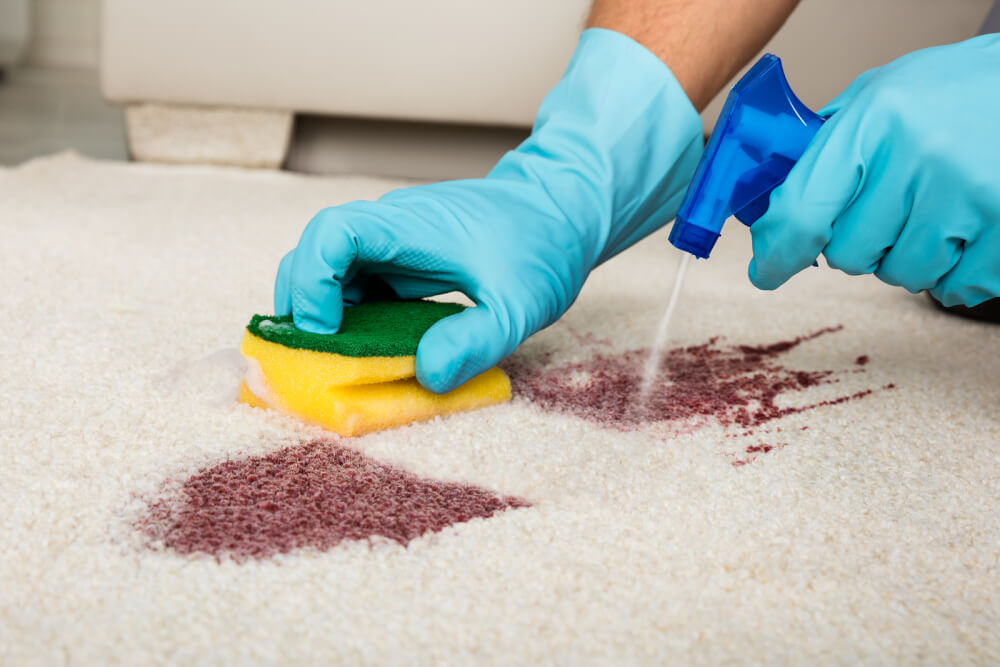 How to Remove the Most Common Stains